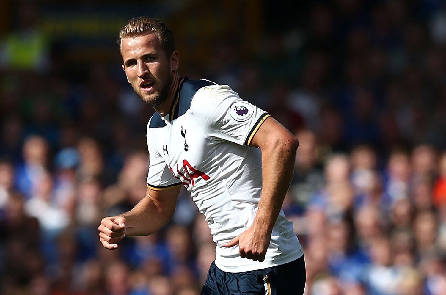 Harry Kane