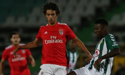 Tottenham Hotspur in transfer tussle with Arsenal to sign Atletico Madrid star Joao Felix.