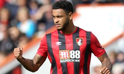 Joshua King would be a viable target for Tottenham