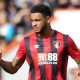 Joshua King would be a viable target for Tottenham