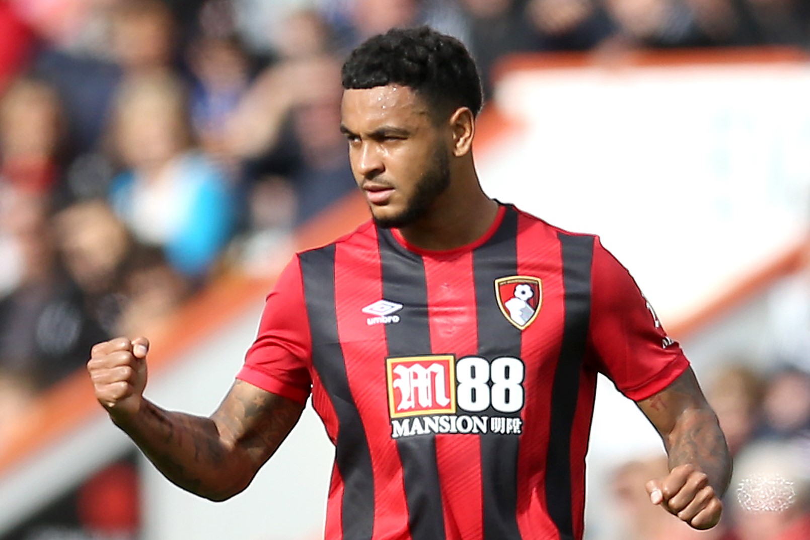 Joshua King would be a viable target for Tottenham