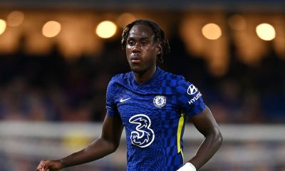 Paul Brown believes Trevoh Chalobah could be tempted to join Tottenham Hotspur.