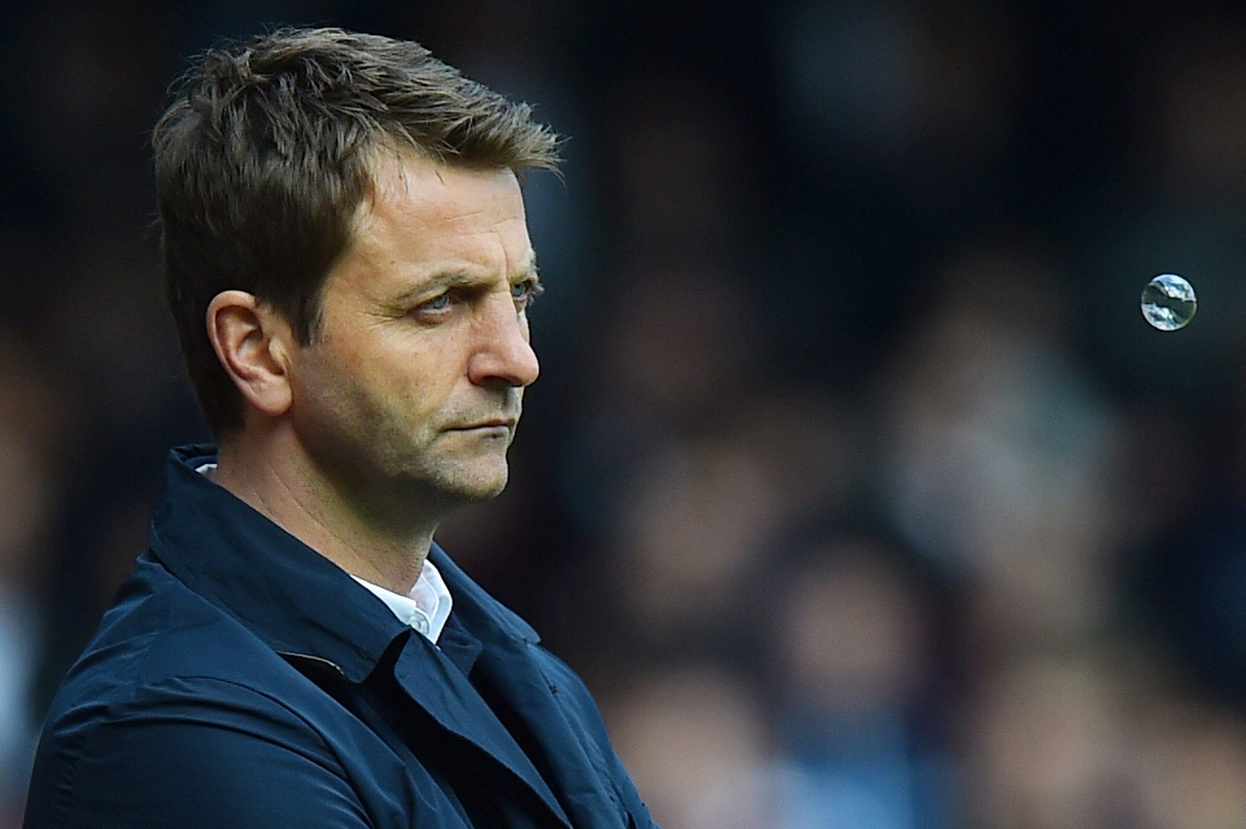 Tim Sherwood during his time as the manager of Tottenham Hotspur.