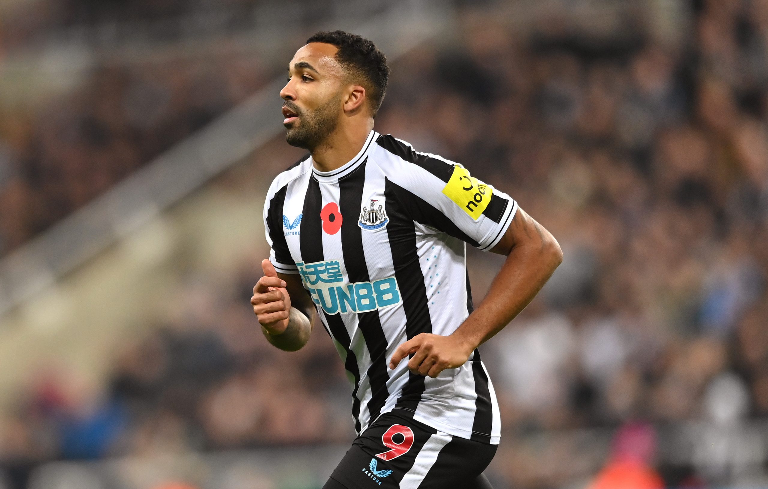 Callum Wilson in action during the Premier League match between Newcastle United and Chelsea FC at St. James Park on November 12, 2022 in Newcastle upon Tyne, England. (Photo by Stu Forster/Getty Images)