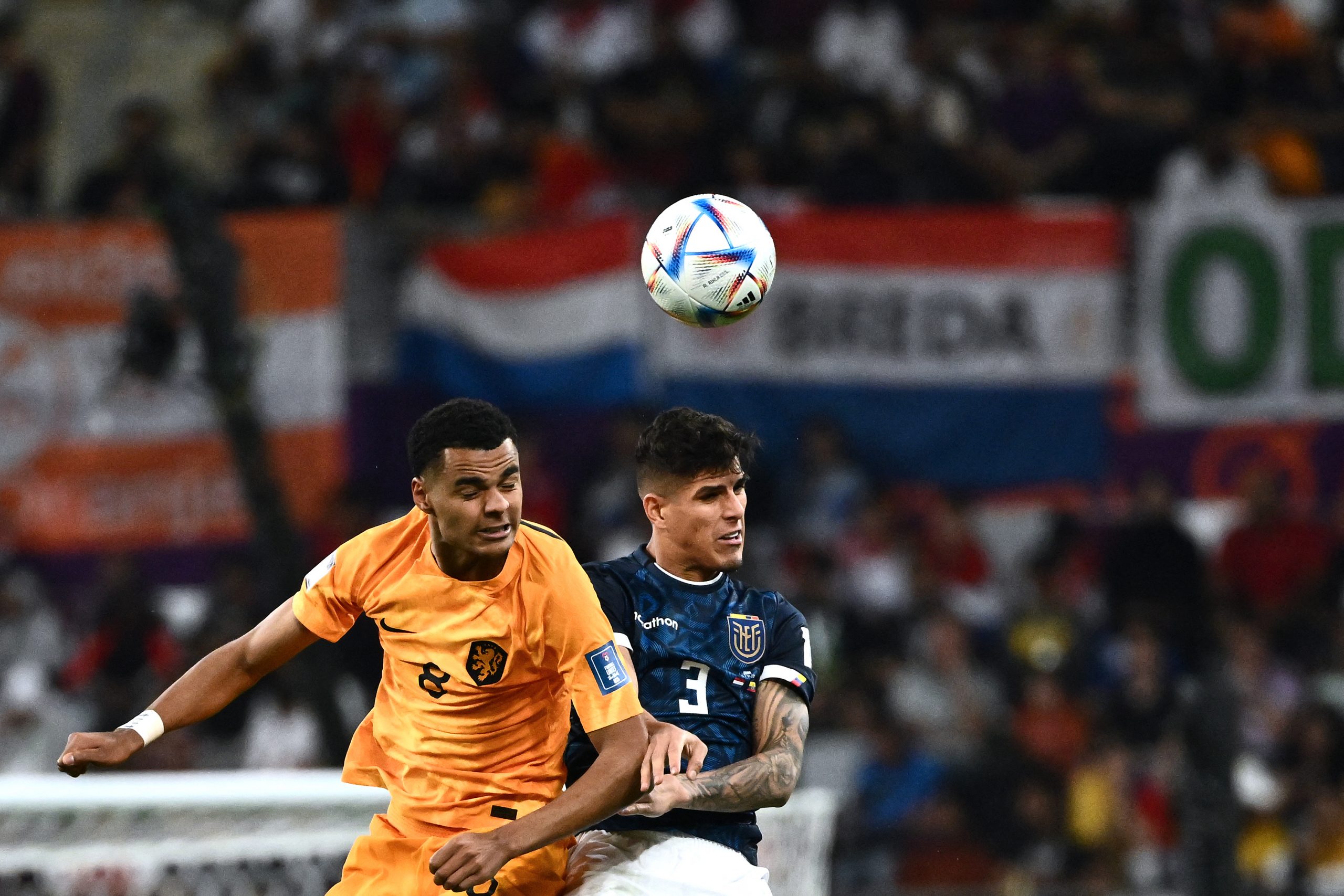 The Netherlands' Cody Gakpo with Ecuardor's Piero Hincapie at the 2022 FIFA World Cup.