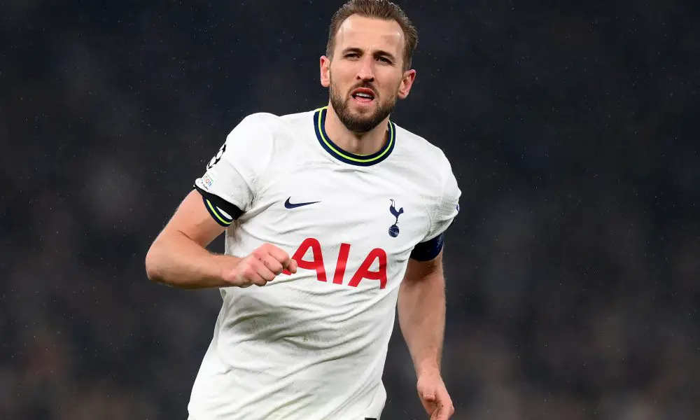 Dimitar Berbatov feels Manchester United target Harry Kane will not "tarnish" Tottenham Hotspur legacy.