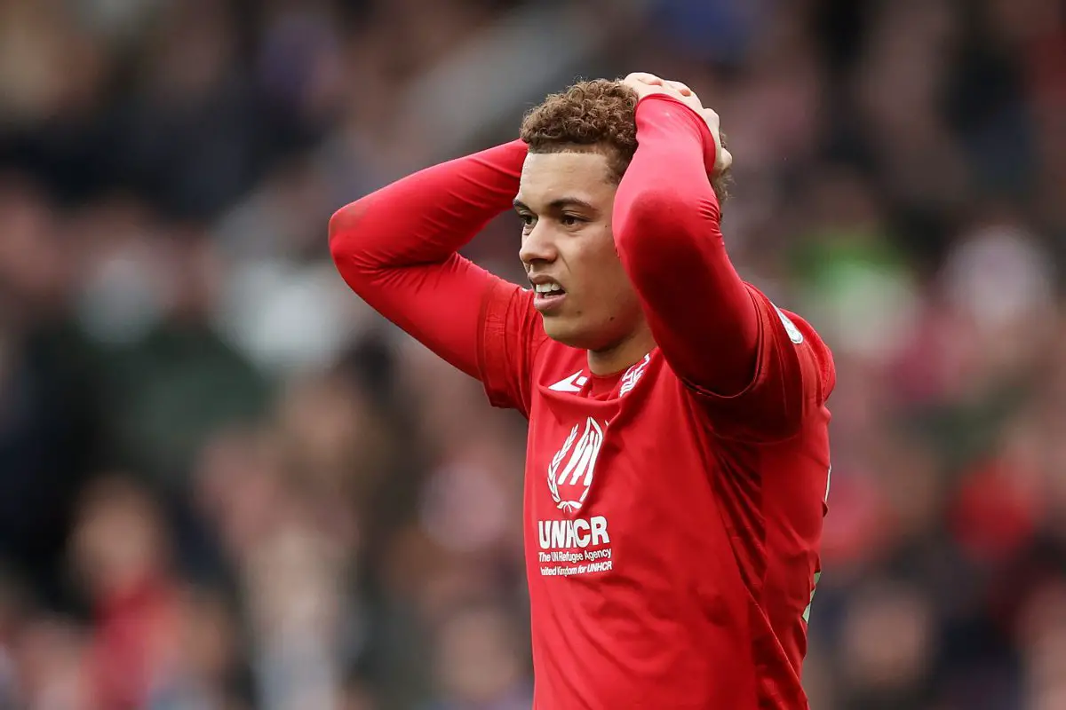 Brennan Johnson could make his Tottenham debut after international break. (Photo by Catherine Ivill/Getty Images)