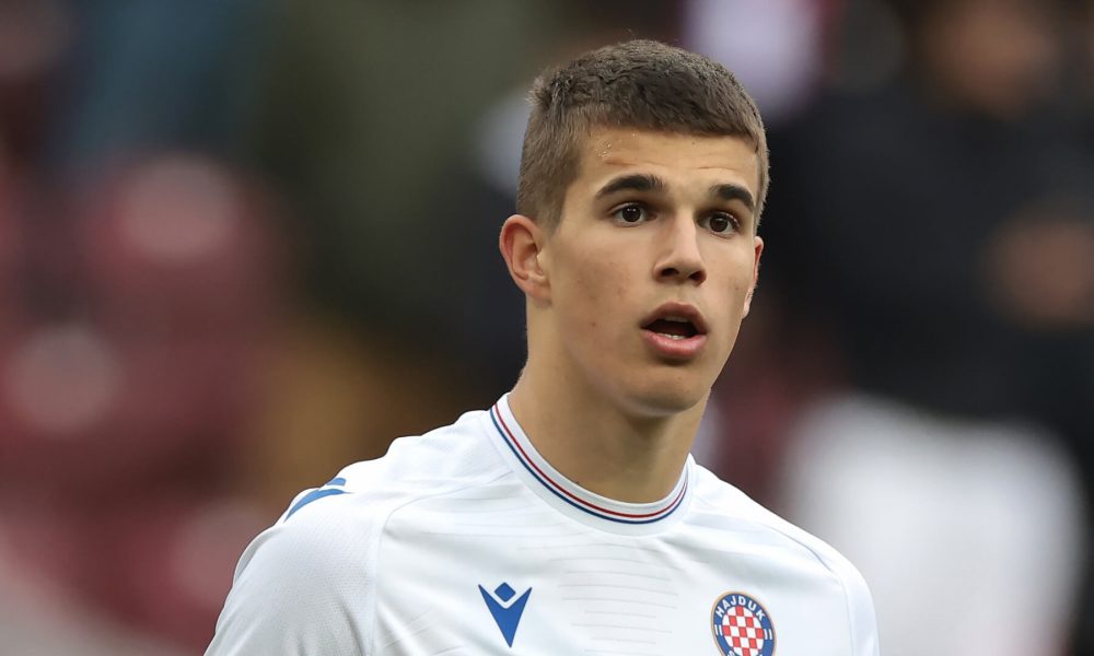 Former Tottenham Hotspur scout Bryan King unconvinced by Luka Vuskovic .