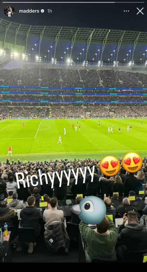 Tottenham star James Maddison reacts as Richarlison scores against Newcastle United. 