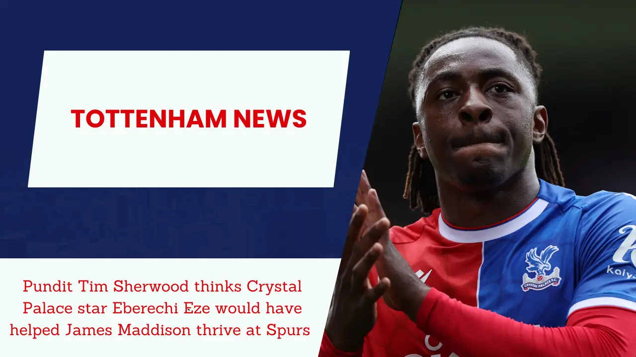 Pundit Tim Sherwood thinks Crystal Palace star Eberechi Eze would have helped James Maddison thrive at Spurs