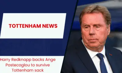 “Silly to walk away”- Ange Postecoglou backed to survive Tottenham Hotspur sacking.