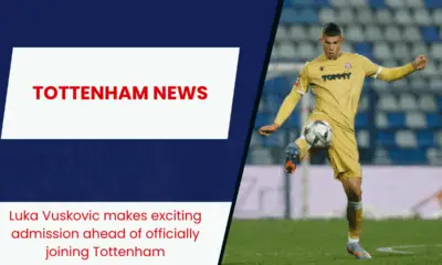 Luka Vuskovic makes exciting admission ahead of officially joining Tottenham
