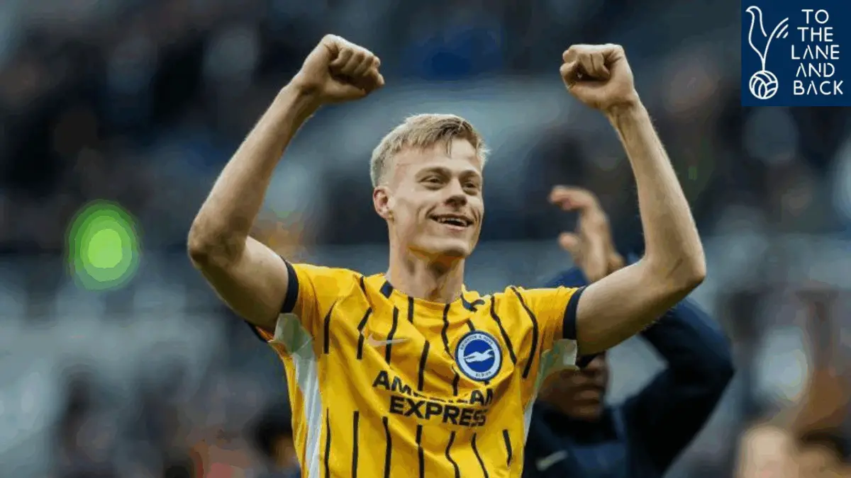 He will not grab you headlines but 25yo Premier League centre back does the job if Tottenham sign him - Opinion.