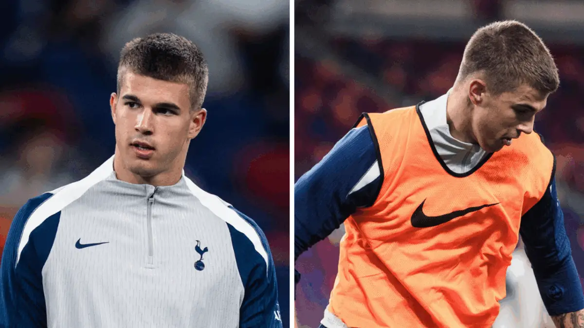 Newly-promoted Bundesliga club HSV Hamburger have been in negotiations with Tottenham Hotspur for Luka Vuskovic .